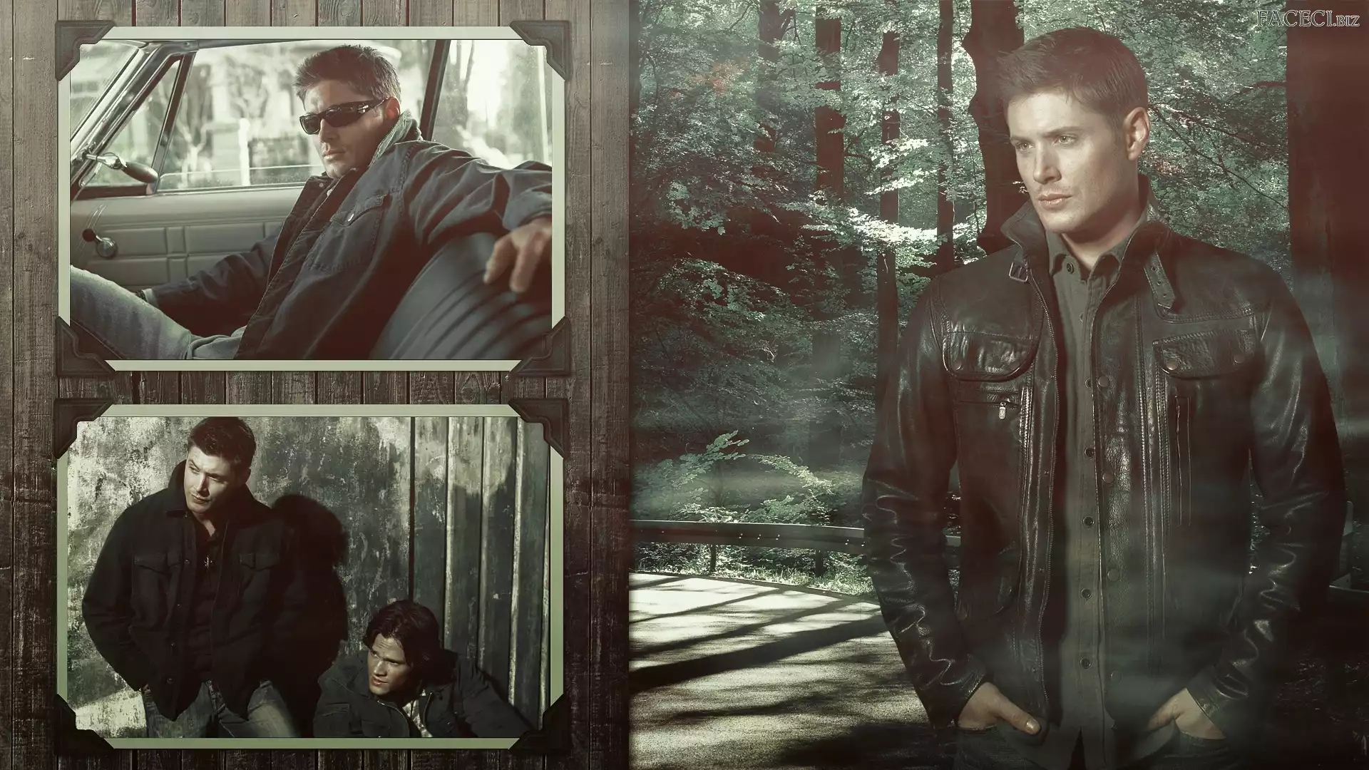 Samochodu, Wnętrze, Jared Padalecki, Jensen Ackles, Las